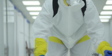 BD365 staff in PPE spraying and sanitising surfaces