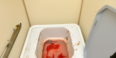 BD365 team conducting blood cleanup inside a home