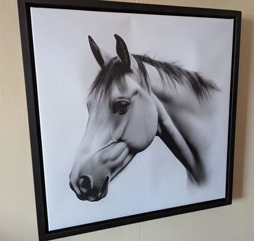 Black and white framed print of a horse head on a wall.