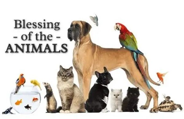 Various animals gathered together with the text Blessing of the Animals.