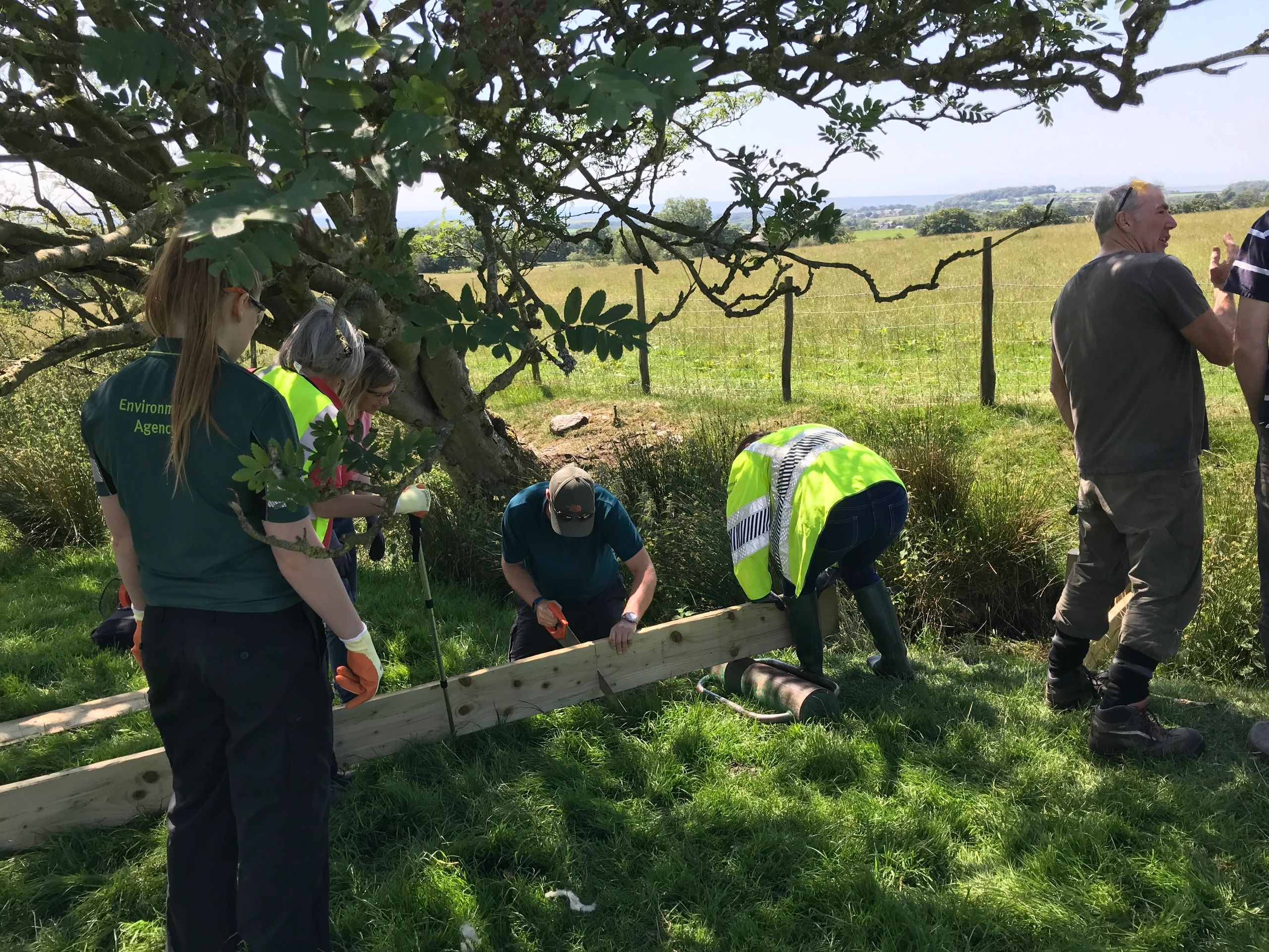 Volunteers work to build a leaky dam across a watercourse