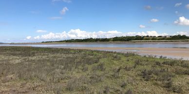 Salt marsh on the Wyre Estuary