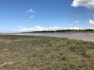 Salt marsh is an important habitat on the Wyre Estuary