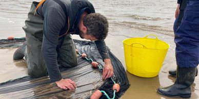 Undertaking seine netting as part of the 2021 Bioblitz surveys