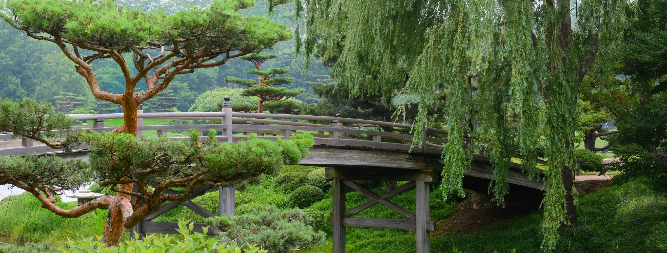 The Japanese Gardens, Chicago Botanical Society.