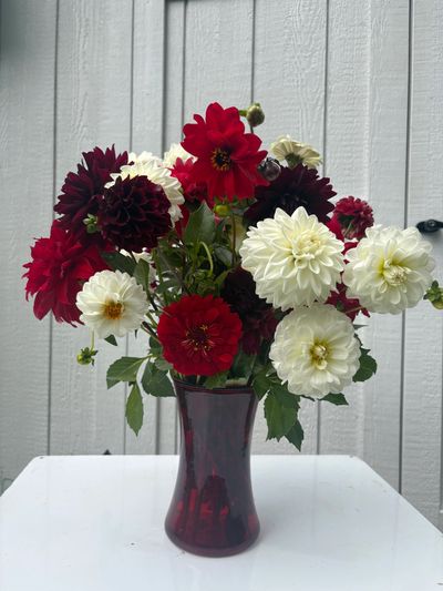 Sympathy Flowers