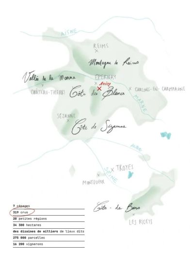 Illustrated map of Champagne wine regions in France.