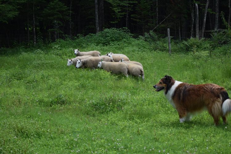 image63