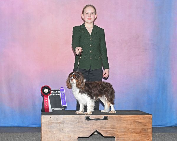 UKC Total Dog