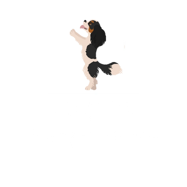 tri colored king charles puppy for sale