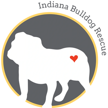 Indiana Bulldog Rescue Logo
