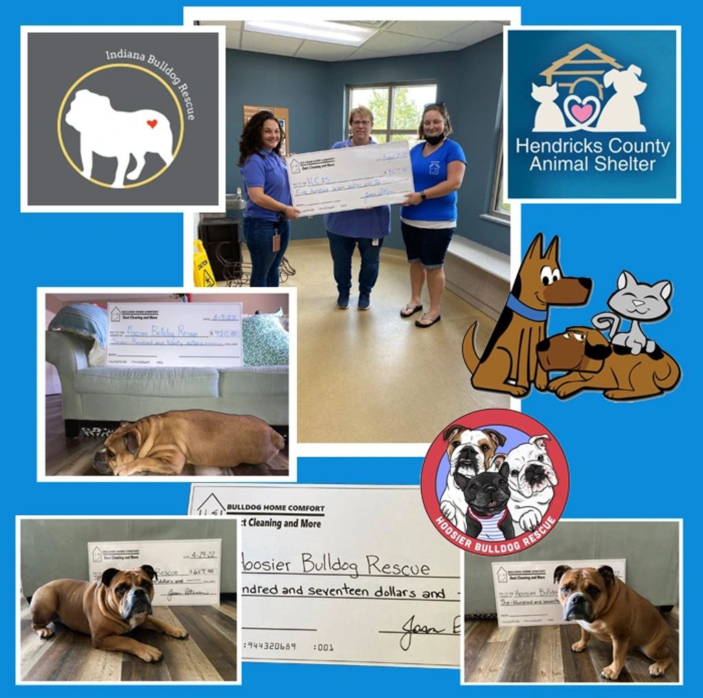 Bulldog Home Comfort donates to Hoosier Bulldog Rescue, Indiana Bulldog Rescue and Misty Eyes.