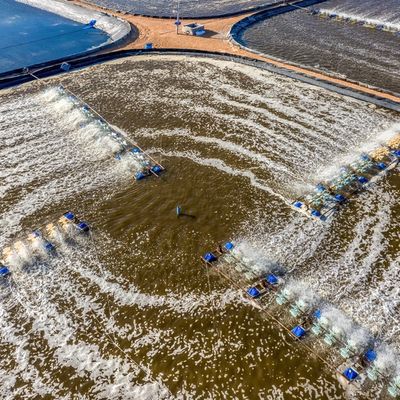 Aerial view of the prawn farm with aerator pump in front of Ninh Phuoc, Ninh Thuan, Vietnam