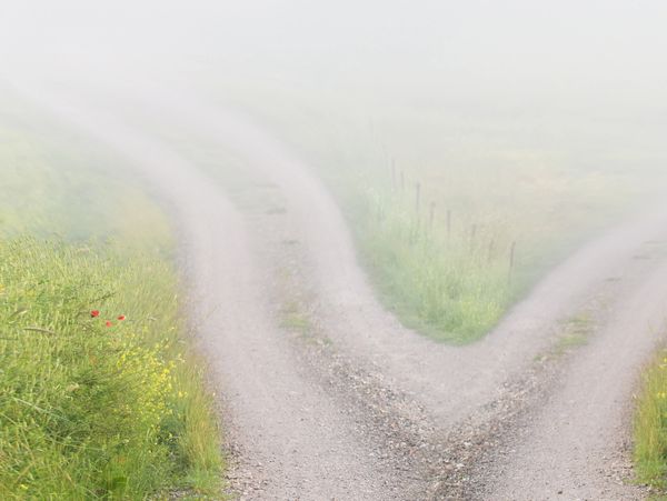 A foggy fork in a gravel road surrounded by green grass.