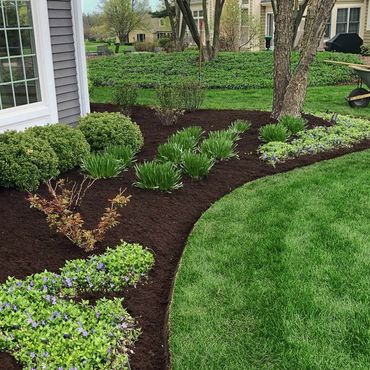 Edging and mulch installation