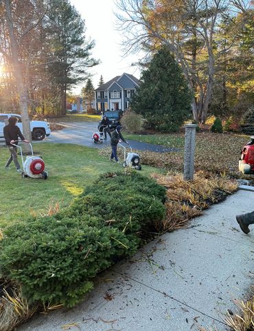 Fall cleanup services