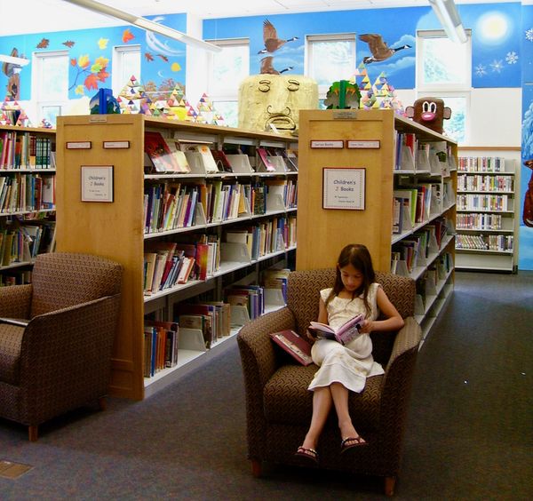 Weather Balloon Mural
Chelmsford Public Library