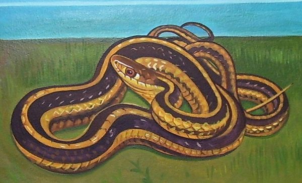 Carol Getchell Trail Mural
Framingham Public Library
Framingham, MA