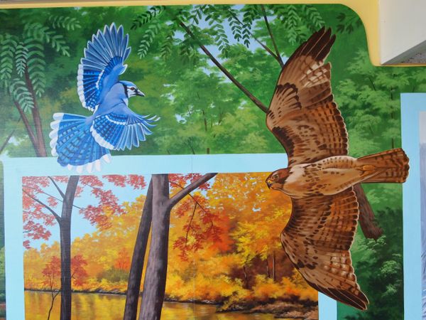 Carol Getchell Trail Mural
Framingham Public Library
Framingham, MA