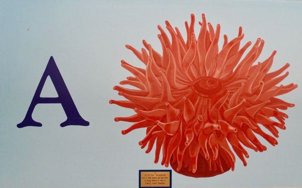 Atlantic Alphabet Mural
Saugus Public Library, Saugus, MA