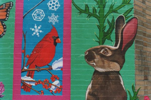 Brookline Seasons Mural
Harvard Street, Brookline, MA