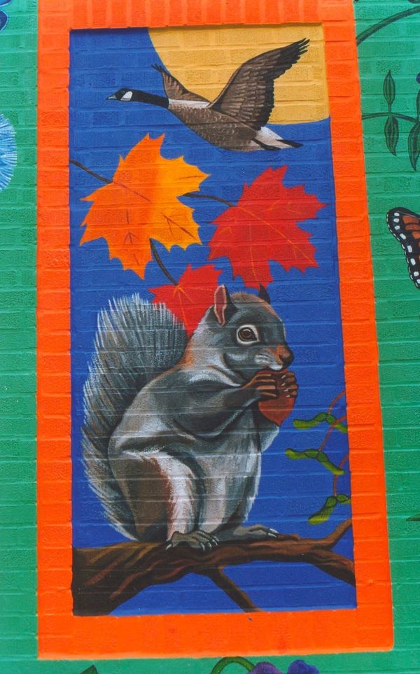 Brookline Seasons Mural
Harvard Street, Brookline, MA