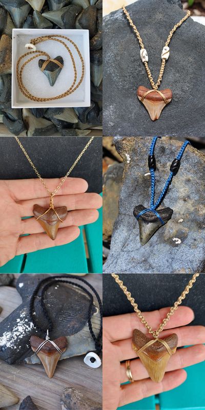 shark tooth fossil necklace megalodon nylon cord braided cord macrame knotting bone beads wire wrap