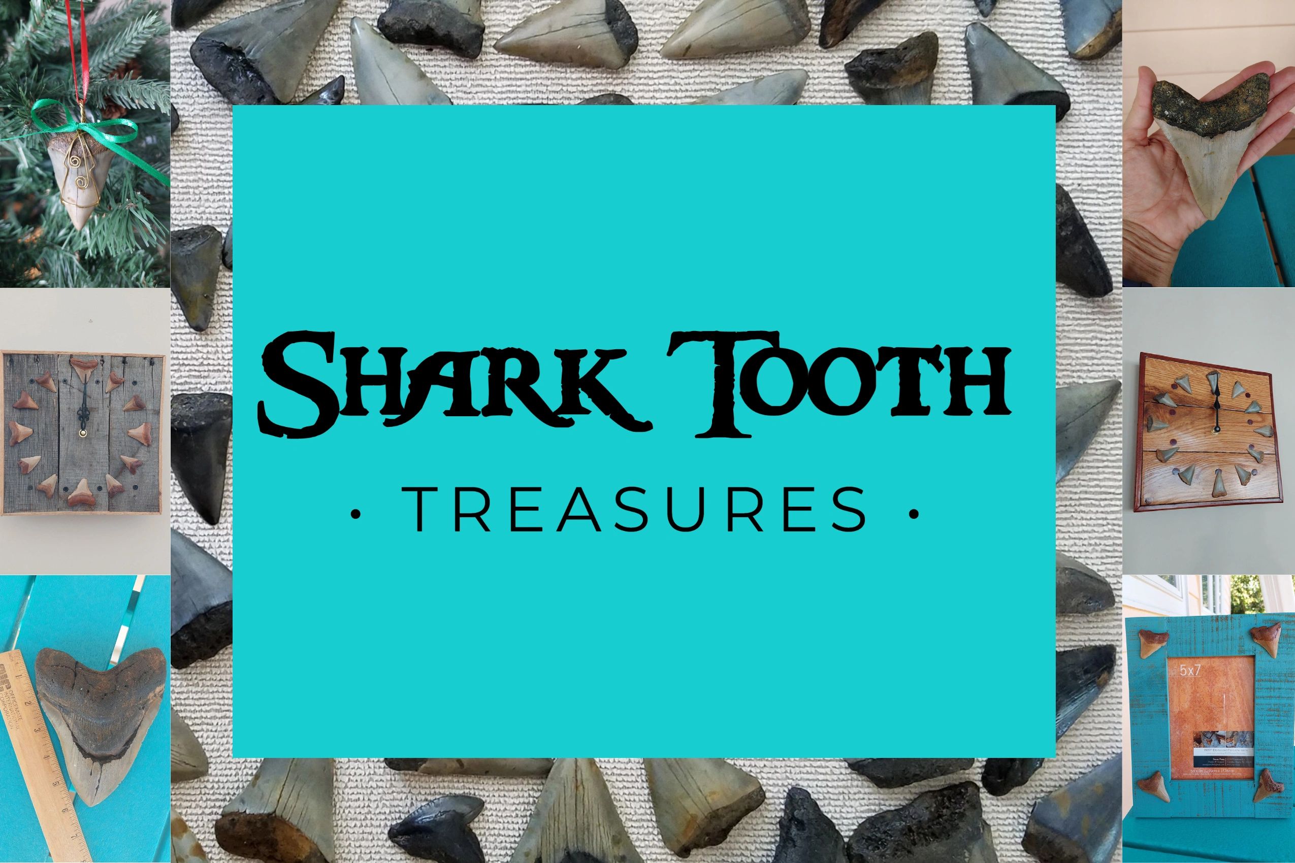 shark tooth fossils coastal beachy decor unique gifts megalodon mako great white clocks frames