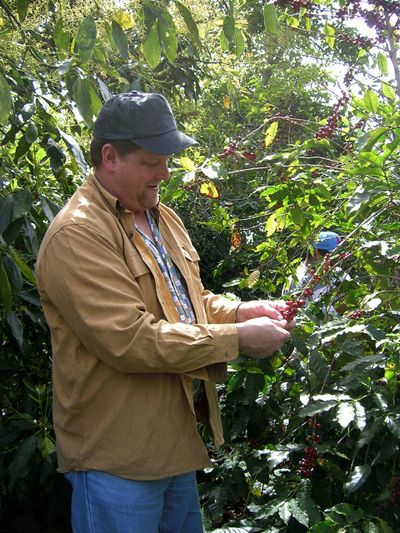 Dan Beihoff inspecting coffee tree