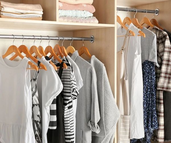 Cloths ORGANIZATION