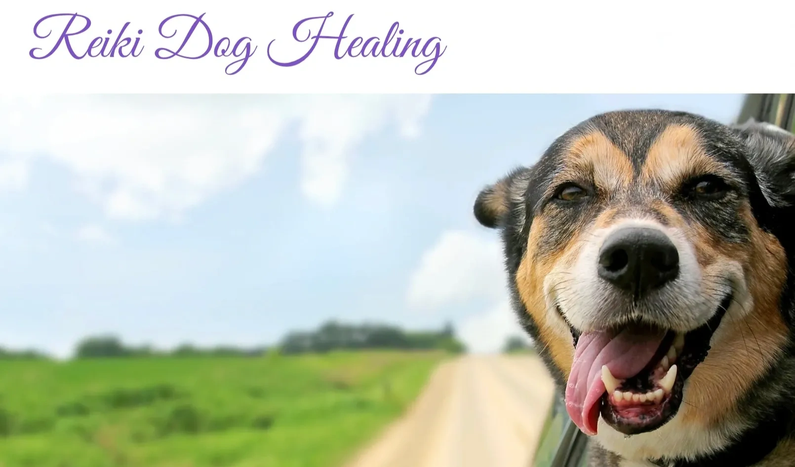 Reiki Dog Healing