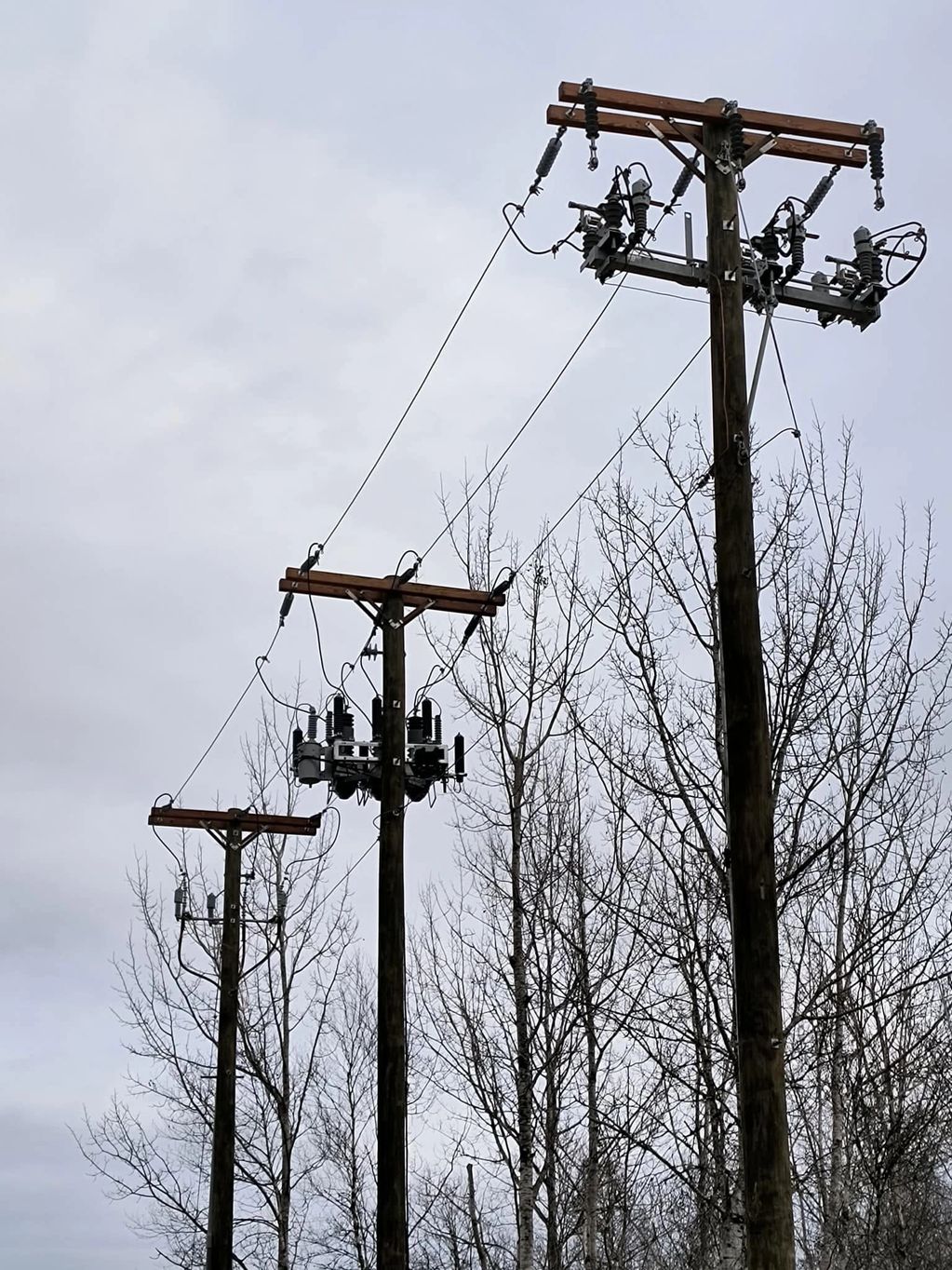 Powerline