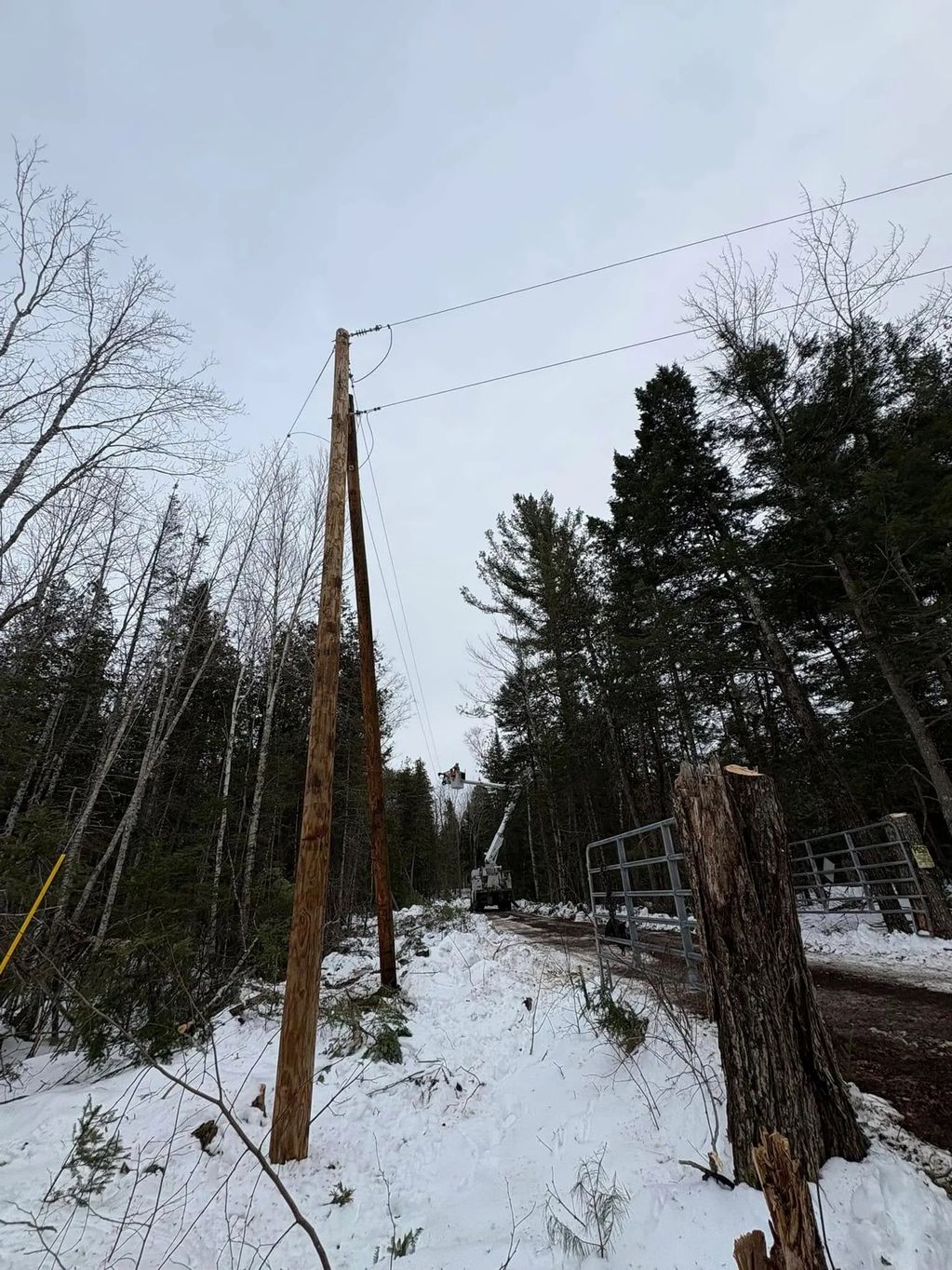 Private powerline