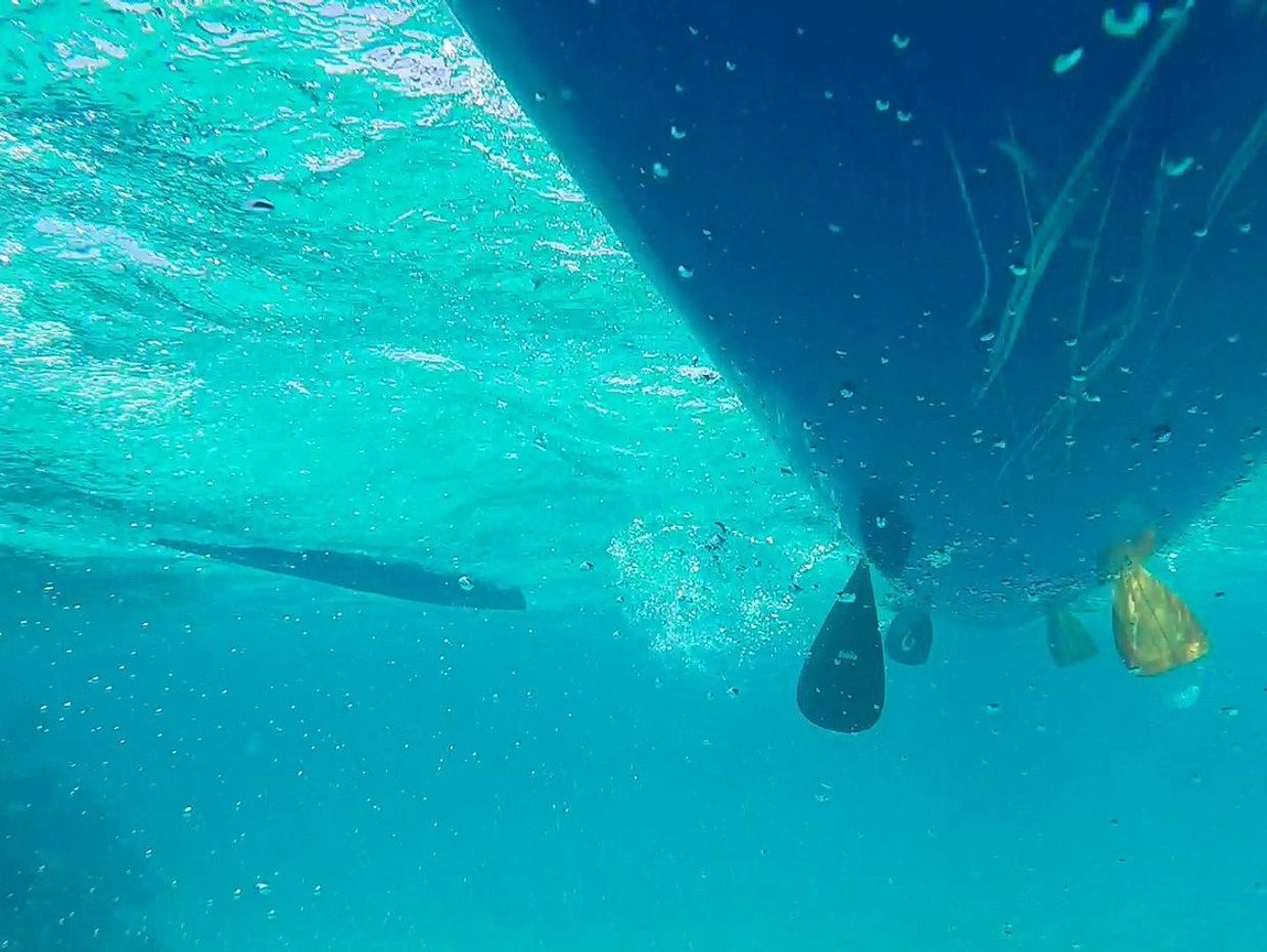 Underwater view of a blue kayak's paddles.