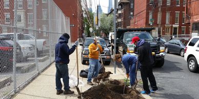 Spring Garden CDC - Street Sweeping, Anti-Litter Programs, Cleanups, Trees