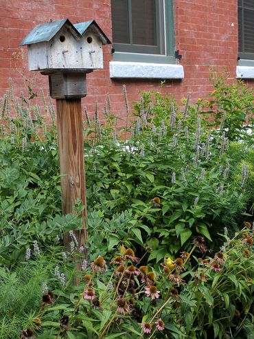Bird Houses on Green Street around the corner from Spring Garden CDC