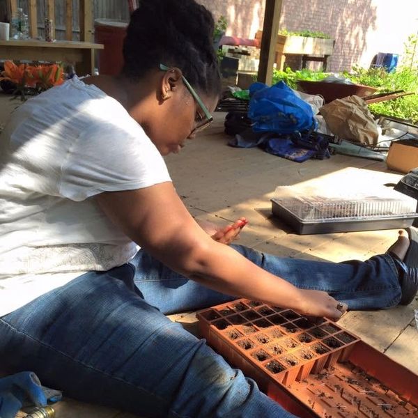 Person planting seeds in a tray.