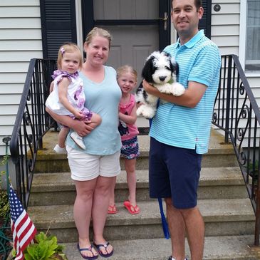 A happy new Sheepadoodle family.