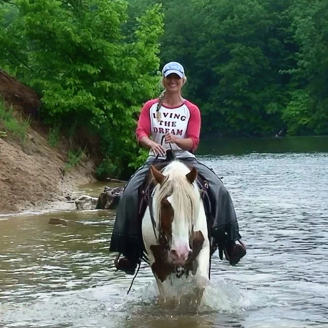 Available Horses High Noon Equine LLC