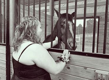 Woman feeding a horse through stable bars.