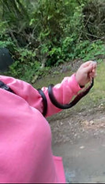 Person in pink holding a small snake outdoors.