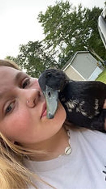 A girl affectionately holds a black duck close to her face outdoors.