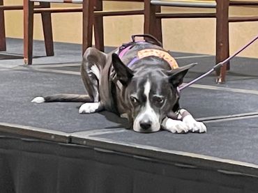 Basil, the Best Girl