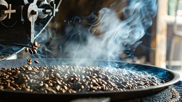 Coffee beans roasting with rising smoke in a roasting machine.