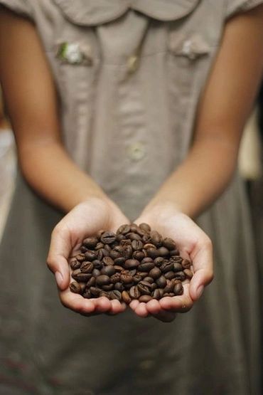 Person holding a handful of roasted coffee beans.