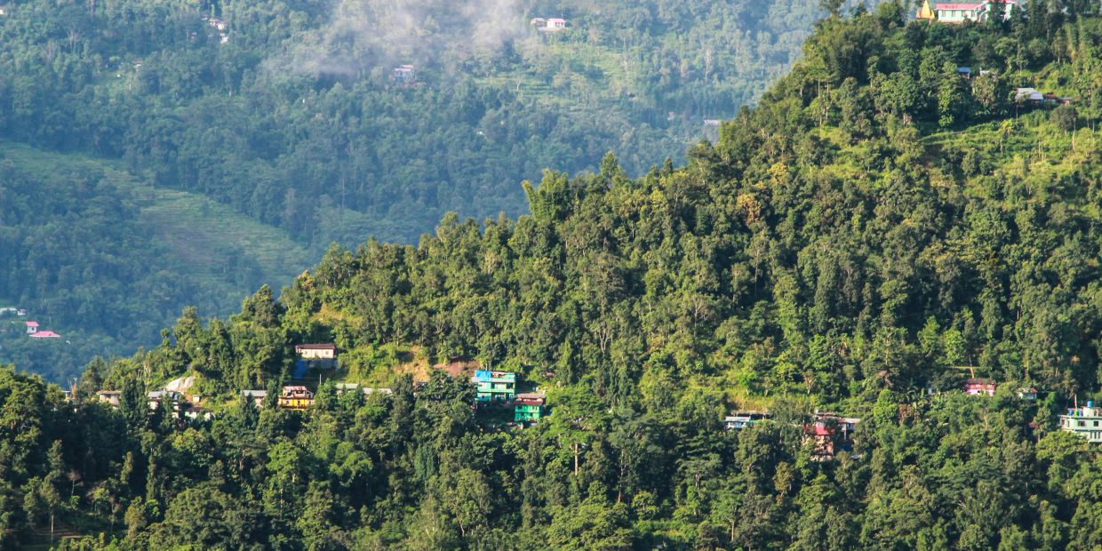 Hilly landscape with scattered houses among dense green trees.