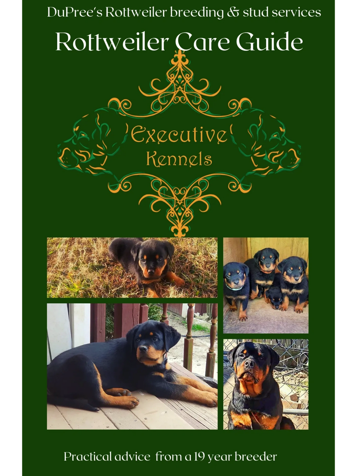 Rottweiler puppy care guide. Helping you and your new Rottweiler puppy thrive TOGETHER