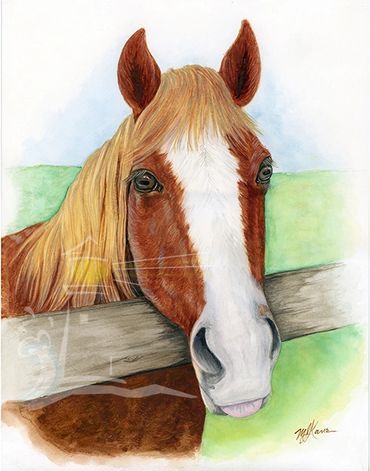 watercolor Horse portrait