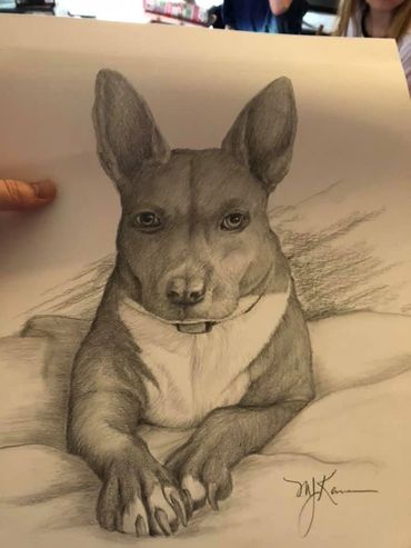 Dog portrait graphite drawing