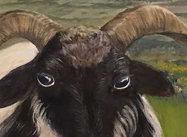 Acrylic painting of a Spanish goat on the Camino De Santiago -  Prints available in the store.